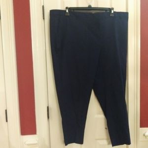 🤑3/$20 Simply Emma Plus Ankle Pants New with Tags